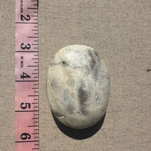 White Moonstone Palm